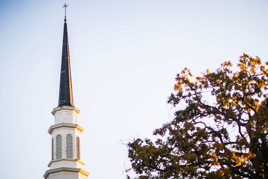 Steeple tree silhouette blue sky