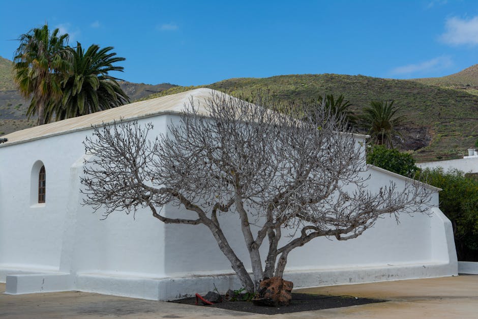 White building leafless tree